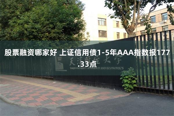 股票融资哪家好 上证信用债1-5年AAA指数报177.33点