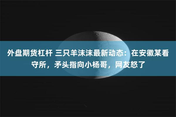 外盘期货杠杆 三只羊沫沫最新动态：在安徽某看守所，矛头指向小杨哥，网友怒了