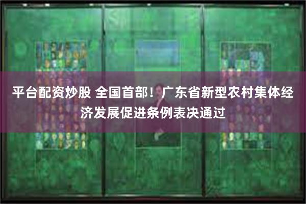 平台配资炒股 全国首部！广东省新型农村集体经济发展促进条例表决通过