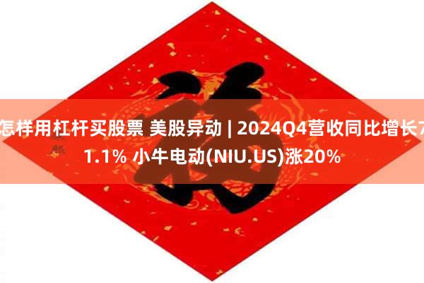 怎样用杠杆买股票 美股异动 | 2024Q4营收同比增长71.1% 小牛电动(NIU.US)涨20%