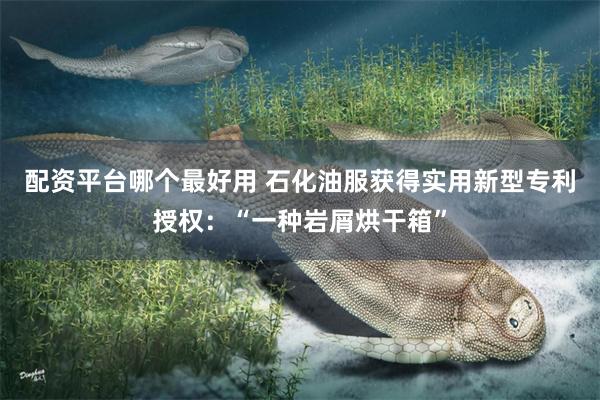 配资平台哪个最好用 石化油服获得实用新型专利授权：“一种岩屑烘干箱”