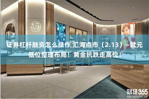 证券杠杆融资怎么操作 汇海点市（2.13）—欧元低位整理布局！黄金抗跌走高位！