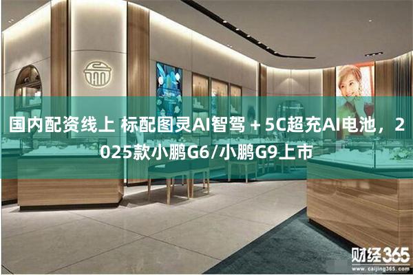 国内配资线上 标配图灵AI智驾＋5C超充AI电池，2025款小鹏G6/小鹏G9上市
