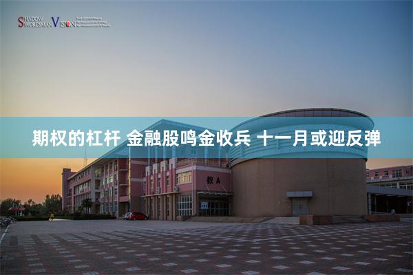 期权的杠杆 金融股鸣金收兵 十一月或迎反弹