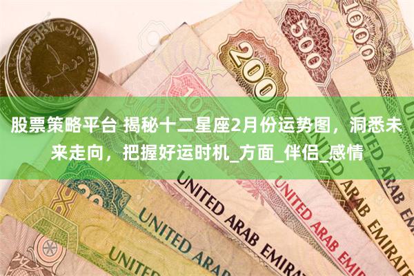 股票策略平台 揭秘十二星座2月份运势图，洞悉未来走向，把握好运时机_方面_伴侣_感情