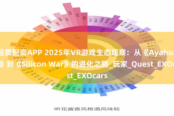 股票配资APP 2025年VR游戏生态观察：从《Ayahuasca》到《Silicon War》的进化之路_玩家_Quest_EXOcars
