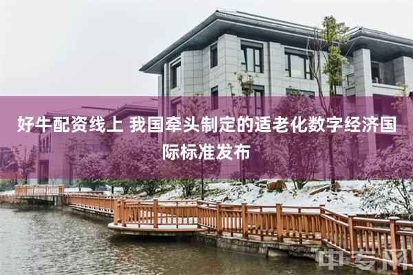 好牛配资线上 我国牵头制定的适老化数字经济国际标准发布