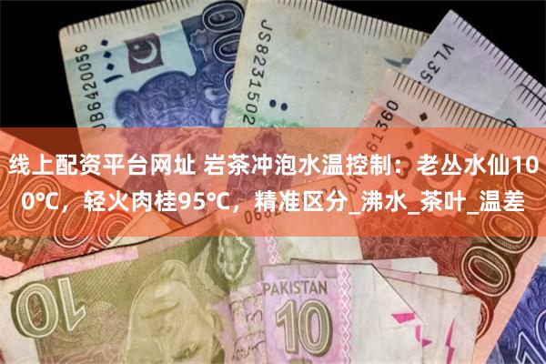 线上配资平台网址 岩茶冲泡水温控制：老丛水仙100℃，轻火肉桂95℃，精准区分_沸水_茶叶_温差