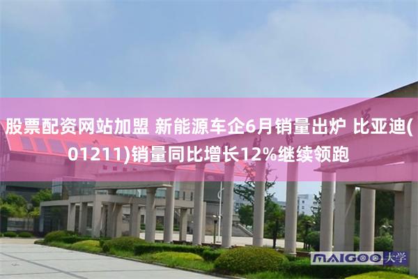 股票配资网站加盟 新能源车企6月销量出炉 比亚迪(01211)销量同比增长12%继续领跑